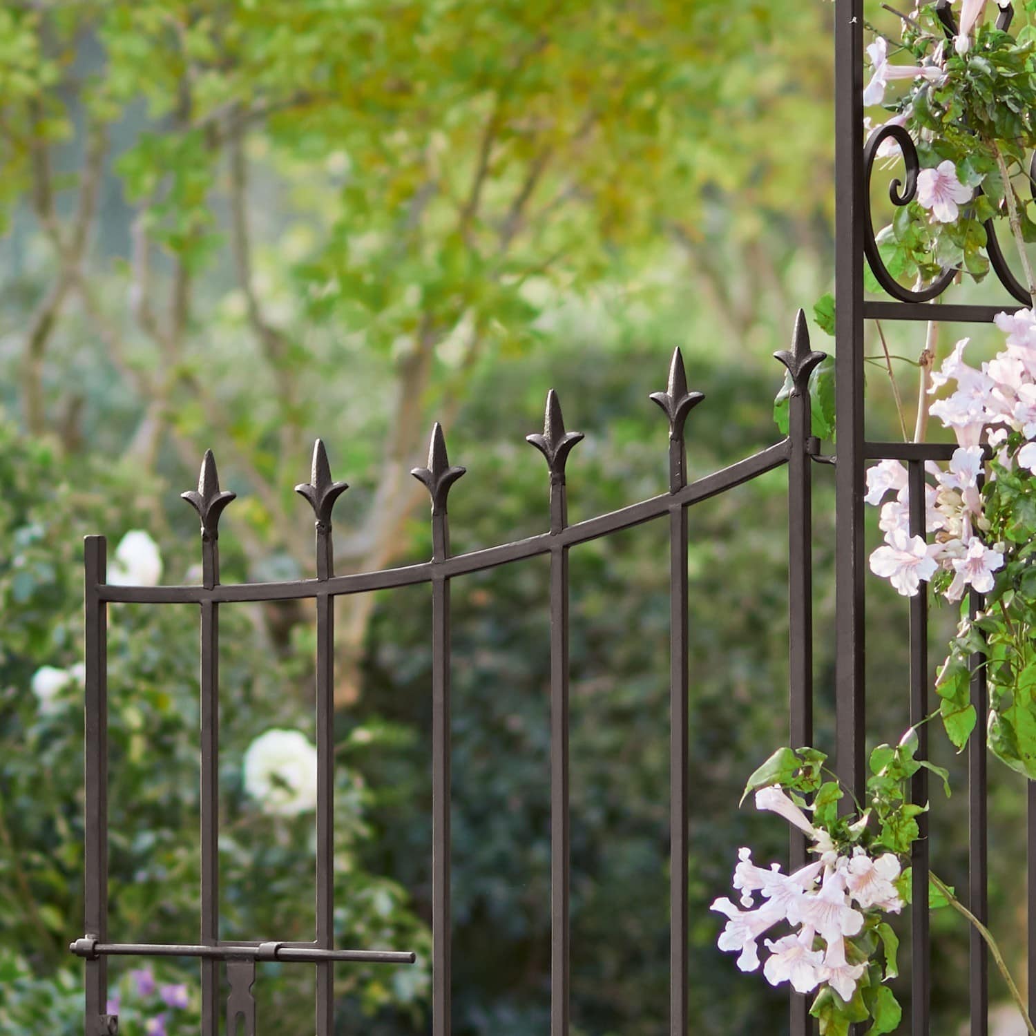 Arco da giardino Skyrose