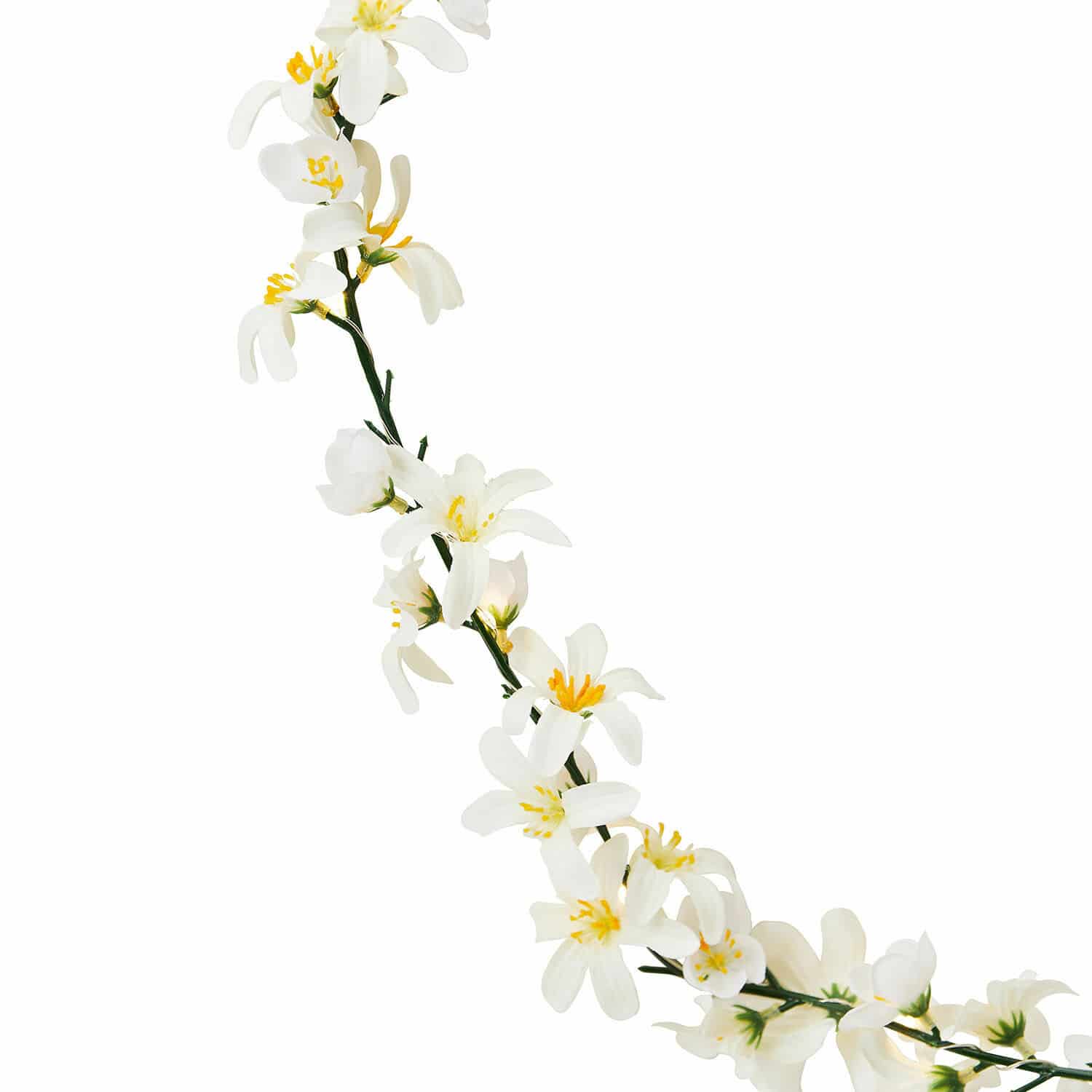 Coppia di catene luminose con luci a LED Lentilly