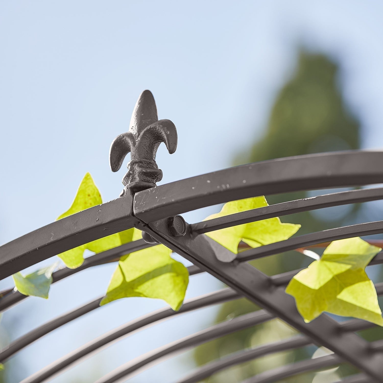 Arco da giardino Skyrose