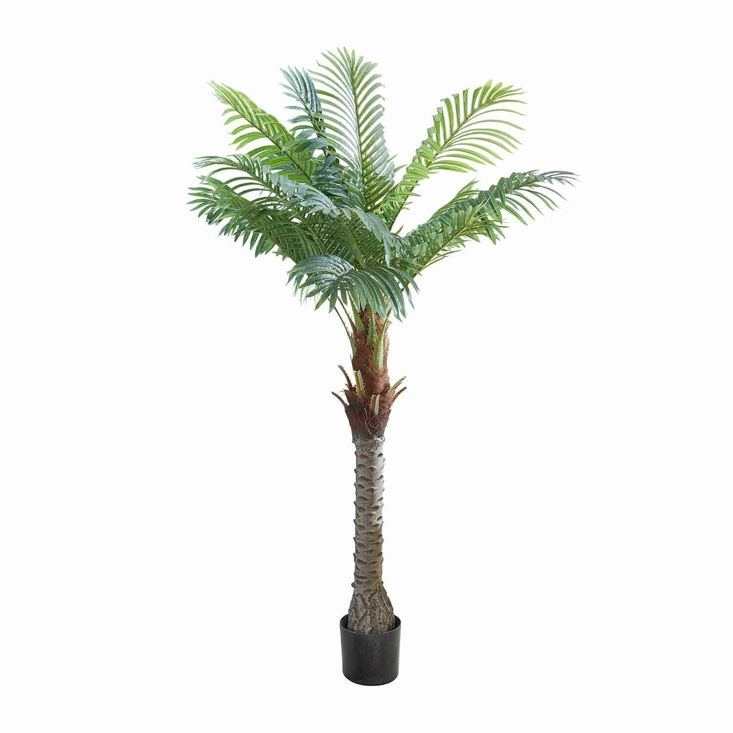 Pianta in vaso decorativa Zephyriel