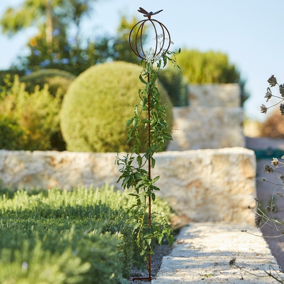 Asta da giardino Libelle marrone antico